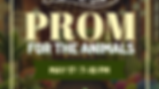 🎟️ PRESALE TICKETS: Prom for the Animals, Fri May 17