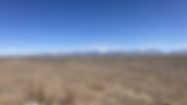 A Year of the San Luis Valley: Week 1