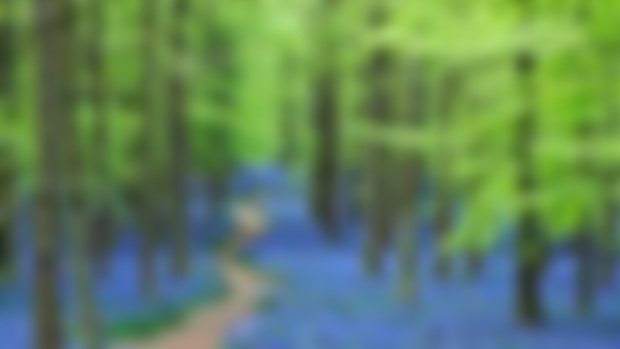 Release #71: Bluebells