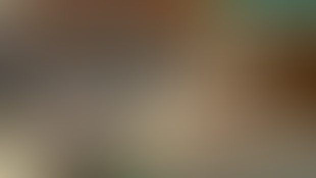 Update #33