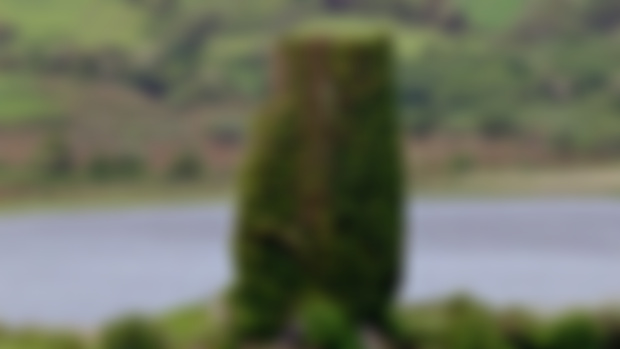 Members Episode 12: The Broc Sí