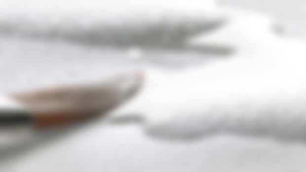 WEEKLY-DISCOVERY ✨️ : Cellulose ou Coton ? | Cellulose or cotton ? (Hahnemühle)