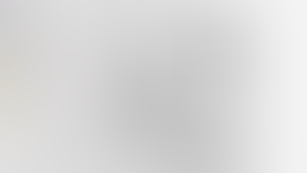 Bojack Animatic Test 1