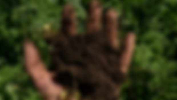 What Would You Like More Content About? 
