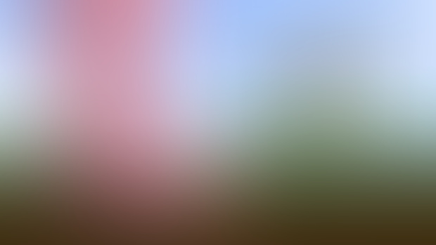 4K animation download