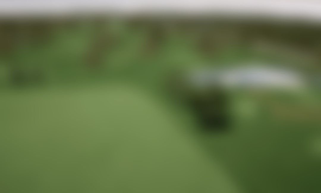 Fred Arbanas Par 3