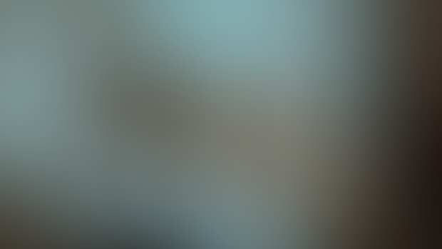 L_