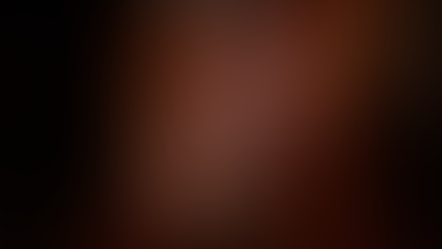 Teaser - SilverFox Into the Dungeon