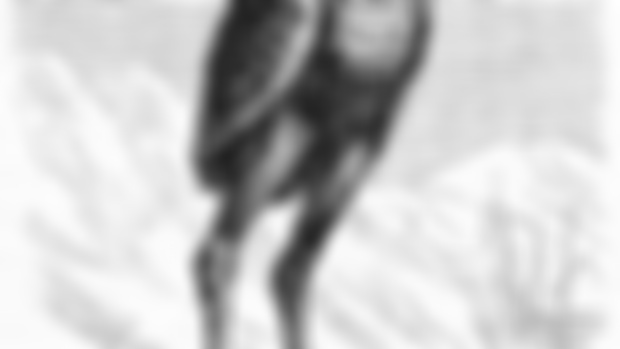 Stolas/Solas 