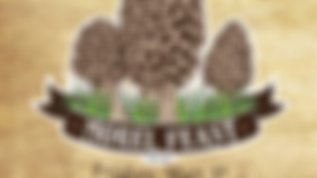 Morel Feast is Announced!