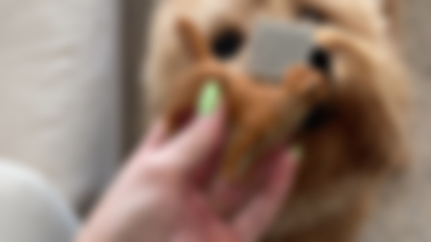 Sneak peek of my latest project 🎉