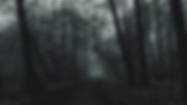 a recurring dream