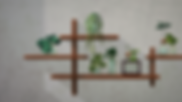 Plant clutter!