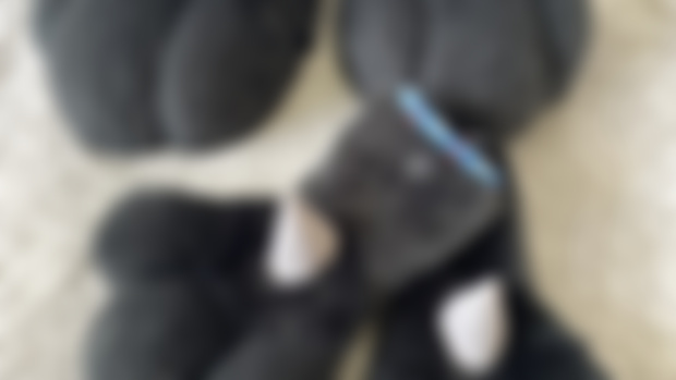 Rukario hands and feet