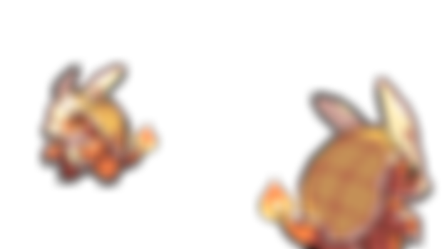 First image for the next video