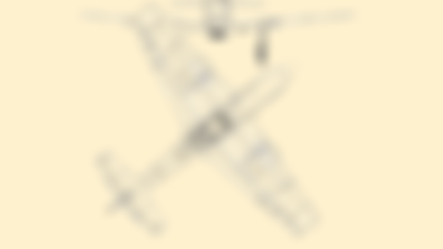P-51 Combat Fundamentals Manual [WIP]