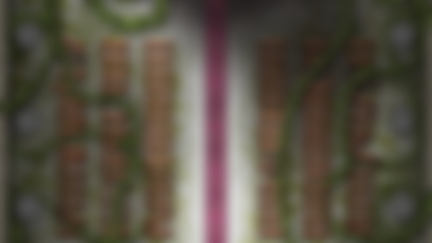 The Catreedral HD