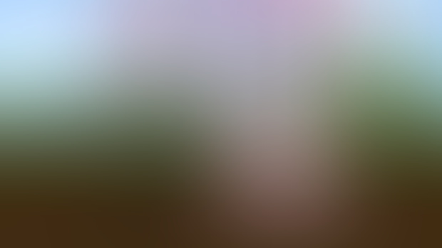 4K animation download