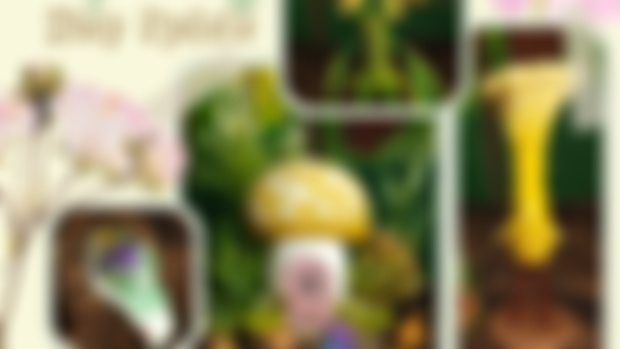 First Dibs! Spring Update 