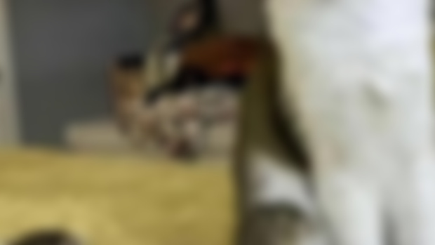 🔥 MAY 20$ RAFFLE REWARD (~5/15)
