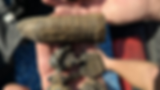 Joe Found a Sloth Claw!