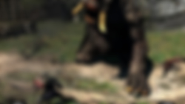 Dragon's Dogma: Dark Arisen | Idle Game Chat