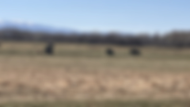 A Year of Photos: San Luis Valley, Weeks 5 & 6