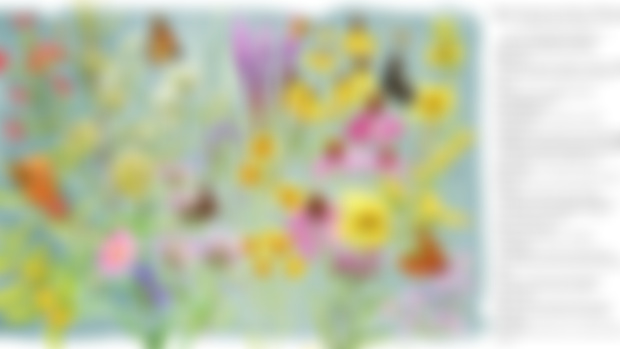 Prairie Plants of North America