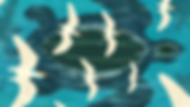 Migration