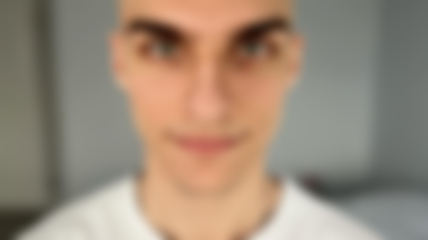 PREVIEW OF THE FINAL RESULT