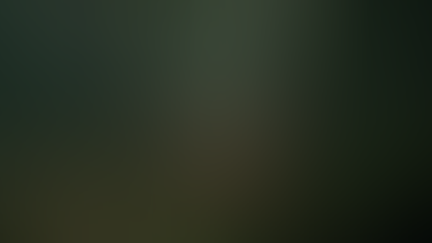 Jungle island scenery redo