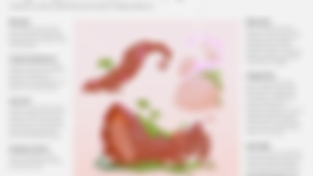 THOUGHTPROCESS // Cute nature elements 🌱🪵💓