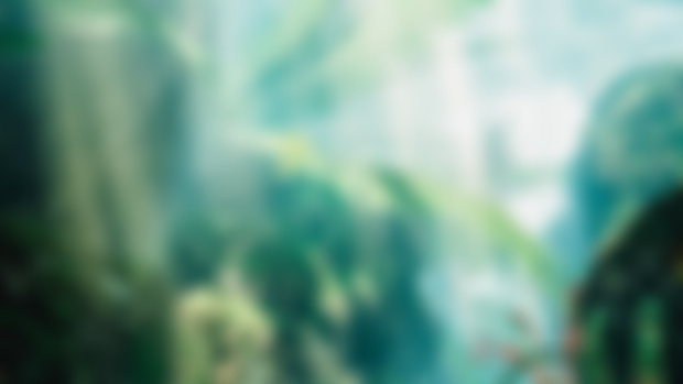 World Introduction EX14! ~ A Traveler's Quest (50 Photos)