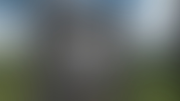 Blender Viewport Shader