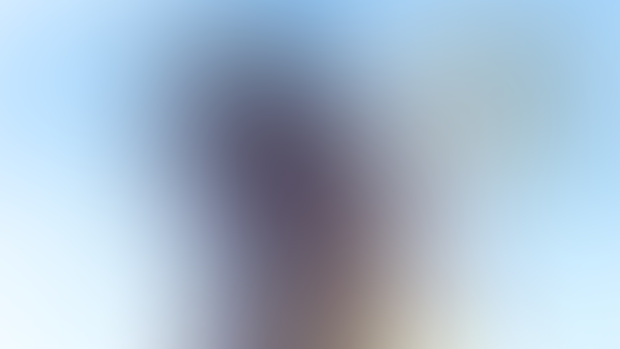 4K animation download