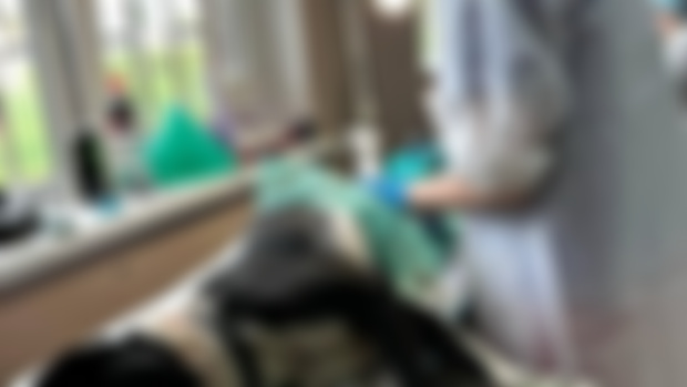 Sterilization of homeless animals in Kryvyi Rih!🐶🐱