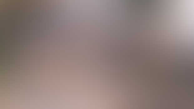 Mountain Mist (Eevee & Cycles)