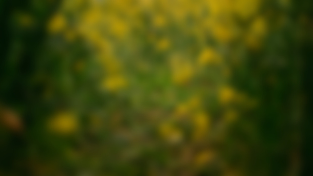 May Wallpapers: Fields of Gold