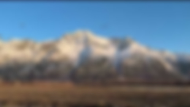 Alaska Spring Snow Geese Migration