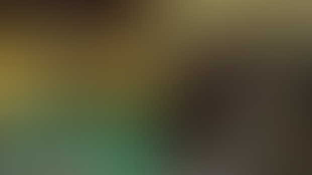Update #35