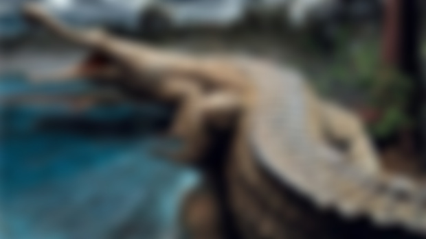 Paleo Bites Ep. 238: Sarcosuchus, the Flesh Crocodile (EARLY ACCESS)