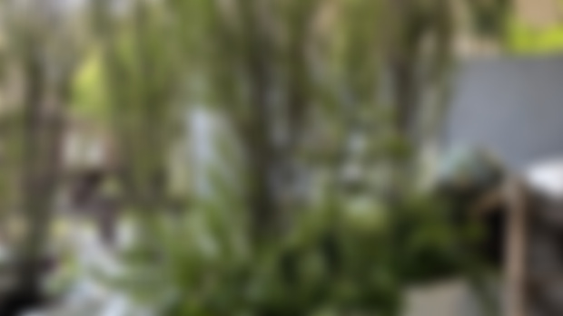 Anyone for a sneak preview of my Chelsea containers?