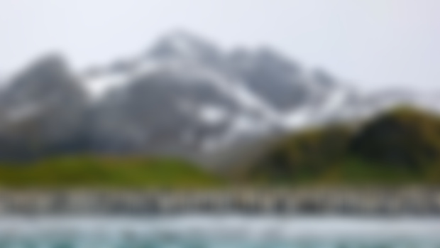 Wallpaper Februar 2024