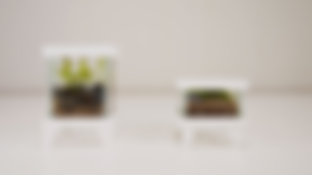 Mini Terrarium Stand