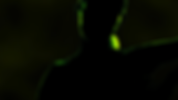 Peekaboo rmxs, Cyclops rmxs, LSDREAM EP + more | First Listen WRITTEN!