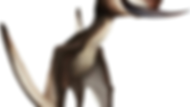 Paleo Bites Ep. 239: Dsungaripterus, the Wing of Junggar Basin (EARLY ACCESS)
