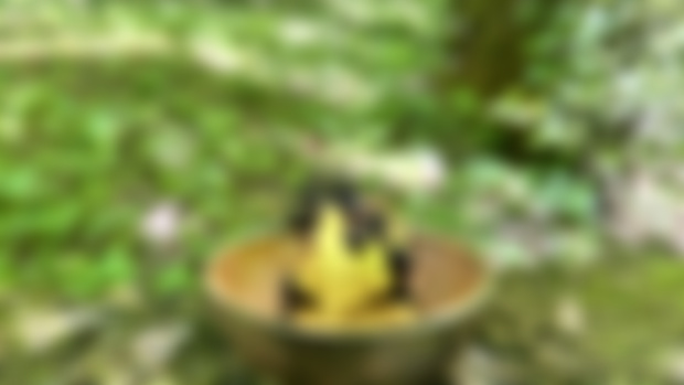 Mary Hambidge (spring recipe)