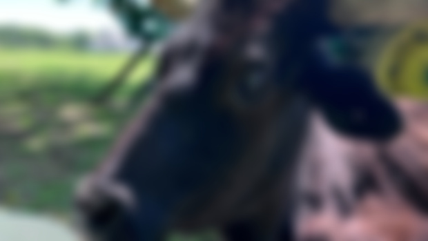 We need your help.