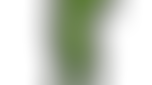 She Hulk  Nude