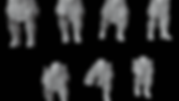 Throne Protector Legs